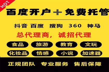 行业领先企业的sem竞价策略：成功案例剖析